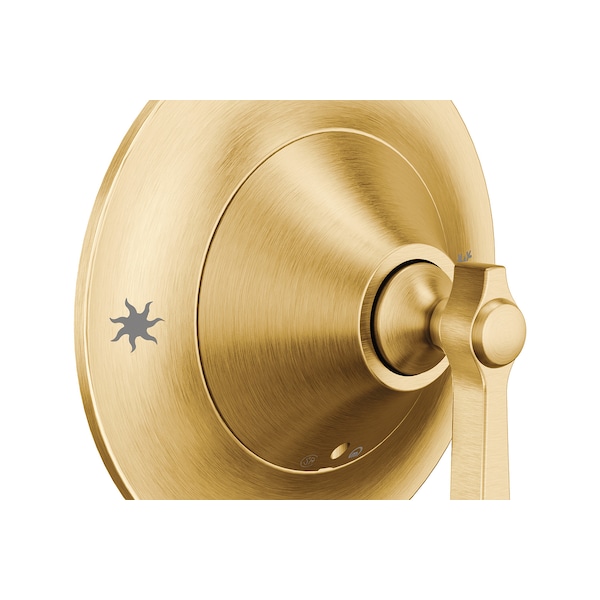 Posi-Temp(R) Valve Trim Brushed Gold